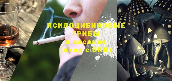 шишки Алексин
