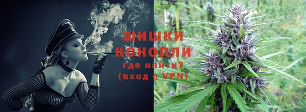 шишки Алексин