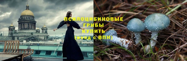 гидра Абаза