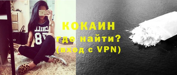 гидра Абаза