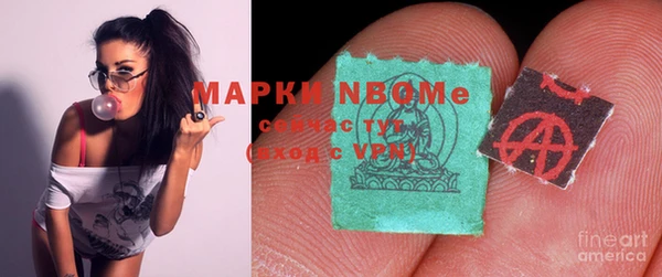шишки Алексин